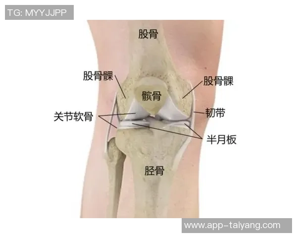 加比亚左膝过度伸展受伤情况更新已排除韧带和半月板损伤风险 加比亚左膝过度伸展受伤情况更新已排除韧带和半月板损伤风险